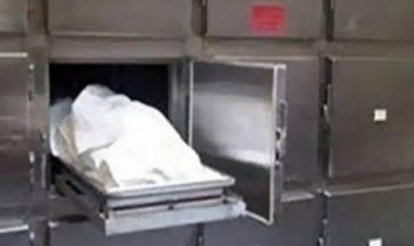 بسبب «خناقة أطفال».. مقتل ربة منزل بطلق ناري في قنا (تفاصيل كاملة)