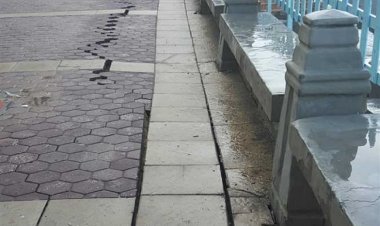 حقيقة تعرض مصر لموجة «تسونامي» وزلازل مدمرة خلال الأيام المقبلة