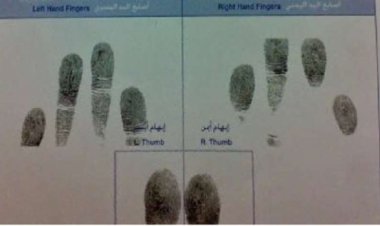 خطوات استخراج «فيش وتشبيه» أون لاين