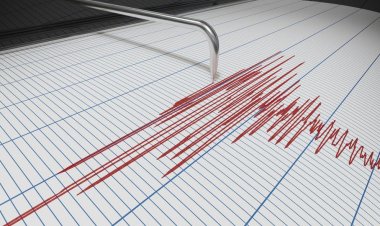 أمريكا: هزة أرضية بقوة 4.8 درجات تضرب جزيرة هاواي
