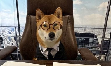 إيلون ماسك يُعين كلبه «مدير تنفيذي» لتويتر.. وطبيب نفسي: إهانة للموظفين