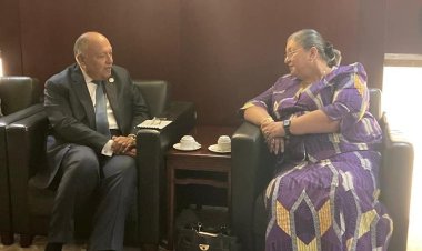 وزير الخارجية يلتقي مع مبعوثة سكرتير عام الأمم المتحدة الخاصة للقرن الإفريقي