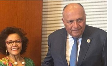 وزير الخارجية يلتقي مع المديرة التنفيذية لوكالة الاتحاد الإفريقي للتنمية - النيباد