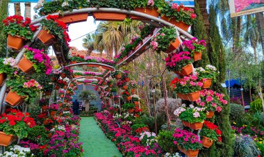 تعرف على آخر أخبار معرض الزهور 2023