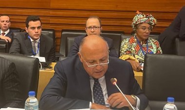 وزير الخارجية يستعرض نتائج COP27 أمام لجنة رؤوساء الدول والحكومات الأفارقة