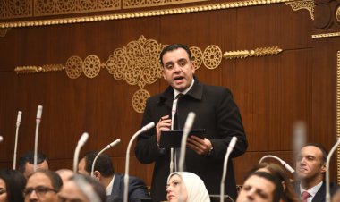 نائب التنسيقية يوافق على قانون تقنين أوضاع المنشآت الصناعية غير المرخصة