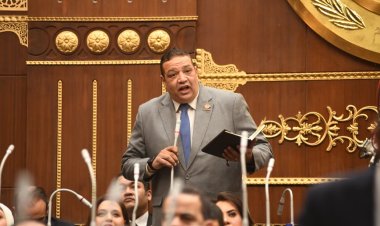 النائب محمد عزمي يطالب بتحديد آليات جديدة لتشجيع الأسر المنتجة وصغار المستثمرين
