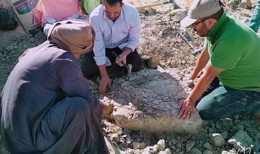 محافظ الوادي الجديد يُشيد بالكشف البحثي الجديد لفريق جامعتي الوادي الجديد والقاهرة