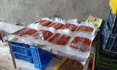 مع اقتراب شهر رمضان.. صحة القليوبية تضبط ٤٠٠ لفة «قمر الدين مغشوش»