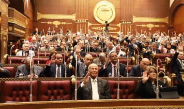 مدير معهد بحوث القطن لـ«الشيوخ»: إصدار قرار وزاري الشهر المقبل باستئصال النباتات الغريبة