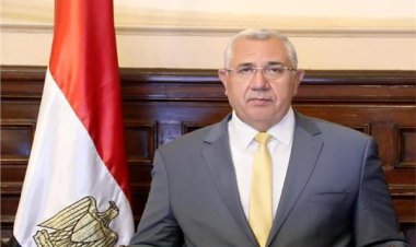 وزير الزراعة: اقتربنا من الاكتفاء الذاتي من السكر وتم تضييق الفجوة الإنتاجية في القمح والذرة