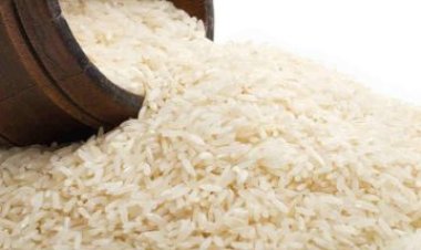 تعرّف على فوائد الأرز الهندي والصيني بعد استيرادهما