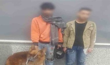 ضبط شخصين  لتعديهما على آخر بالضرب في القاهرة