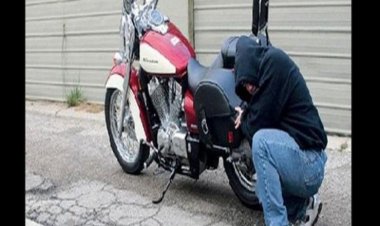 ضبط عدد من «لصوص القاهرة»  بسرقات متنوعة في قبضة الأمن