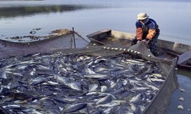 محاكمة مسؤول سابق ومستشار بـ«الزراعة»  بسبب عقود «صيد التونة»