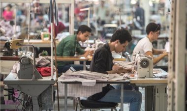 قانون العمل.. ضوابط أجور العاملين بالقطاع الخاص