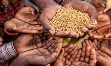 تقرير: 55 مليون شخصا يعانون نقص التغذية بالشرق الأوسط