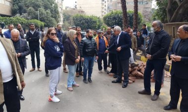 محافظ الجيزة يتابع أعمال الرصف بعدد من قطاعات حي الدقي