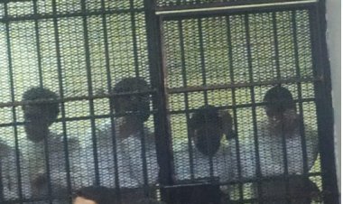 تأجيل محاكمة المتهمين في قضية ولاء زايد لاستكمال المرافعة