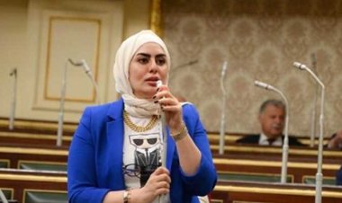 النائبة رحاب موسى تتحدث عن مكاسب إنشاء مجمع لتصنيع السيارات الكهربية