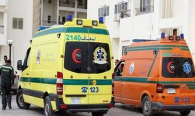 «مذبحة أسرية».. شاب يذبح زوجته وابنته في ظروف غامضة بالمطرية