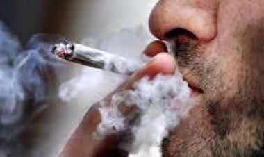 كشف ملابسات تداول فيديو لمدمن داخل مركز إصلاح وتأهيل بالقاهرة