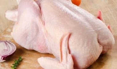 سعر كيلو البانيه اليوم