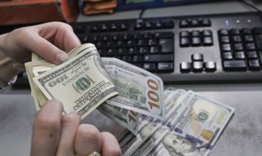 استقرار أسعار صرف الدولار مقابل الدينار العراقي