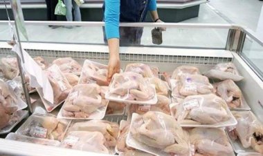شائعة.. «الحكومة» تنفي استيراد شحنات دواجن مجمدة فاسدة ومنتهية الصلاحية
