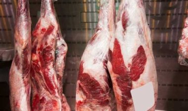 سعر كيلو اللحمة اليوم 2023