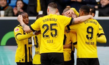 دورتموند يعتلي صدارة الدوري الألماني بفوز صعب على هوفنهايم