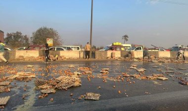 انقلاب سيارة محملة بالبيض على طريق إسكندرية الزراعي