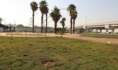 طلبة المدرسة الثانوية الزراعية بالإسماعيلية يشاركون في مبادرة 100 مليون شجرة