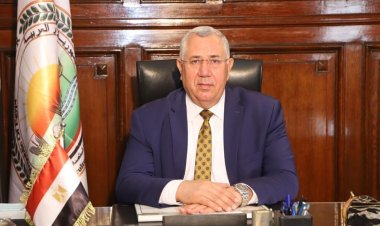 الإفراج عن 136 ألف طن أعلاف «الذرة والصويا» بـ 58 مليون دولار خلال 6 أيام
