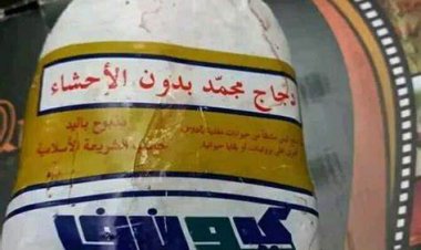 الغرفة التجارية بالجيزة: «الفراخ البرازيلية وراء انخفاض أسعار الدواجن»