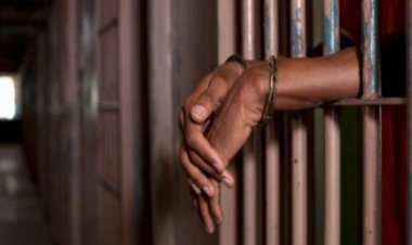 قتلوا عامل بسبب الميراث.. السجن المؤبد و10 أعوام لمزارع ونجليه في قنا