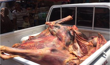 تحرير 51 محضرًا متنوعًا بحملات تفتيش على الأسواق في الغربية