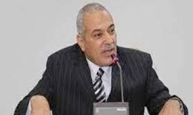 رئيس شعبة الدواجن يكشف للعاصمة أسباب ارتفاع أسعار الدواجن اليوم  