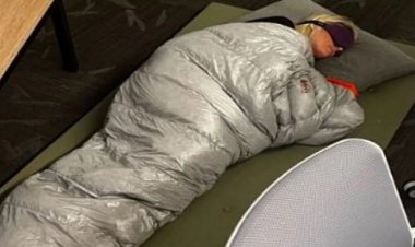 «بالسلامة يا بنت الشركة».. تعليقات السوشيال ميديا على تسريح إيلون ماسك للموظفة المتفانية