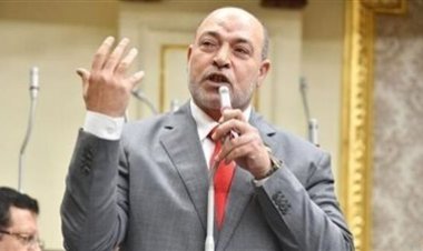 النائب حسن المير: كلمة السيسي دليل إرادة وشجاعة لتحقيق تنمية شاملة في سيناء