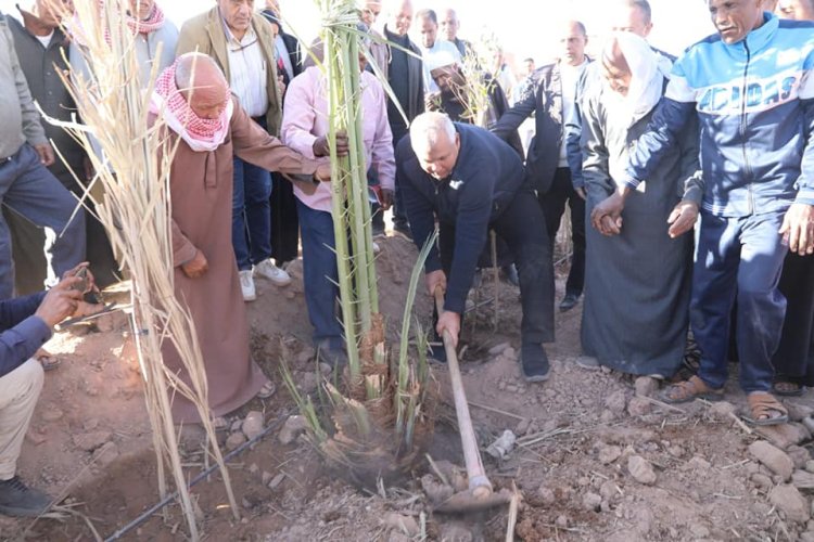 محافظ الوادي الجديد يتفقد منطقة تنيدة القديمة ببلاط