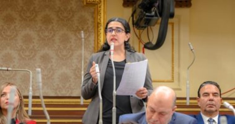 نائبة تشيد بدور مصر فى الحل السياسى السودانى: يظهر موقف القاهرة الداعم لأفريقيا