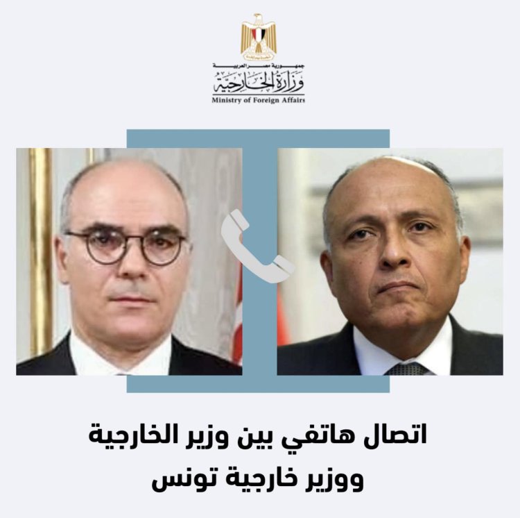 شكري يهنئ وزير خارجية تونس الجديد بمنصبه