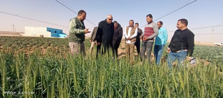 محافظ الوادي الجديد يتفقد مشروع استثمار زراعي وإنتاج حيواني على مساحة ١٥٠ فدان