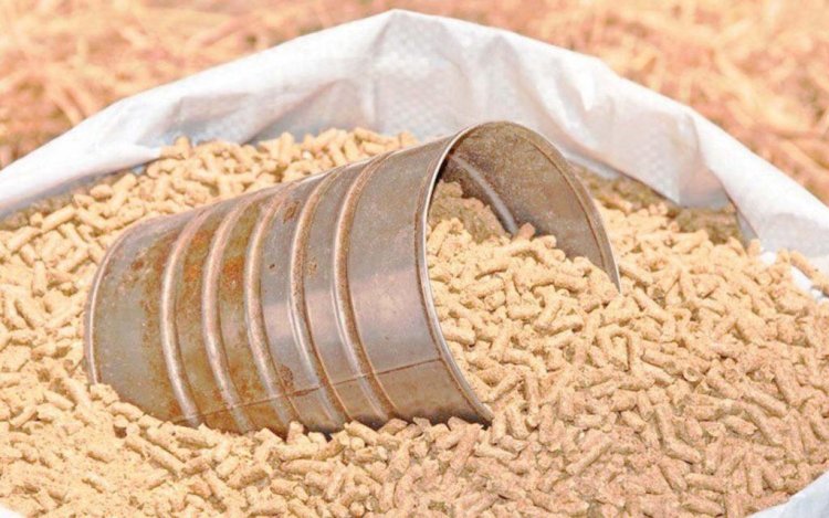 أسعار أعلاف الدواجن بالسوق المحلي اليوم الأحد 12-2-2023