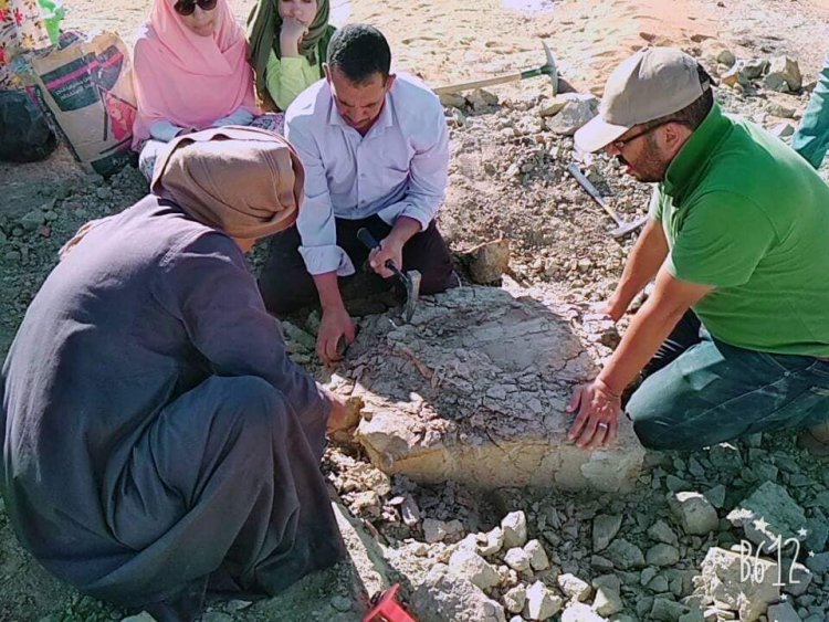 محافظ الوادي الجديد يُشيد بالكشف البحثي الجديد لفريق جامعتي الوادي الجديد والقاهرة