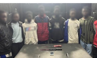 القبض على 8 أجانب سرقوا هاتف زميلهم بمدينة نصر