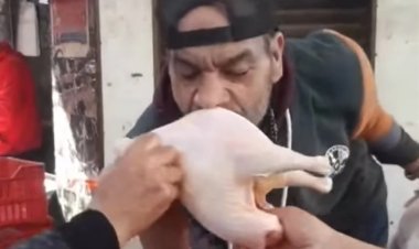 يبيع الفرخة بـ25 والبيضة بـ2.5.. تاجر دواجن يثير الجدل على السوشيال ميديا