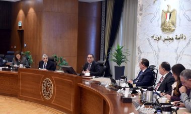 «مدبولي» يوجه بتشكيل مجموعة عمل لصياغة مشروع حوافز الدولة لمشروعات الهيدروجين الأخضر