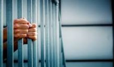العفو الرئاسي: إخلاء سبيل 33 من الأشخاص المحبوسين احتياطيًا